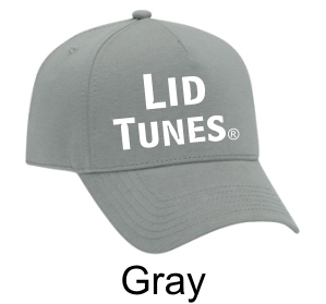 Lid Tunes Gray Hat